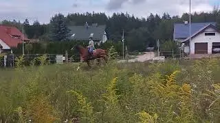 Hokus skatepark hulajnogi dzieci