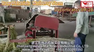 Mulberry Stem Processing on Farms? Try BM-2B Decorticator | Fiber Extraction Made Simple#extraction