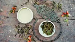 Virtual TeaTime: White Peony Tea