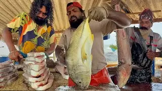 Master Cutters Break Down Huge Fish with Incredible Accuracy