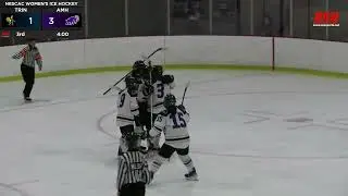 Women's Ice Hockey: Amherst vs. Trinity Highlights (2/15/25)
