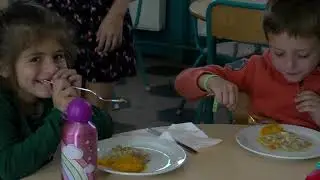 Farm to fork - sustainable canteens