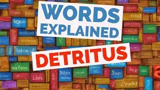 Detritus - Words Explained