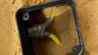 Termite Inspection