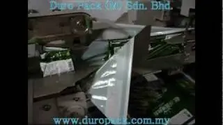 Horizontal Down Film Wrapping Machine