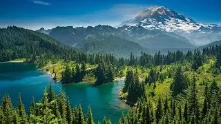 CARE FOR  ENVIRONMENT (ENVIRONMENTAL CAMPAIGN) -DOCUMENTARY
