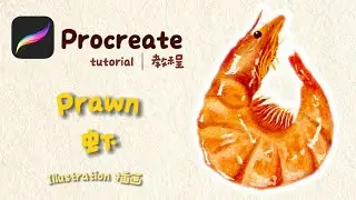 Drawing a Prawn 🦐 | Watercolour Style | Procreate