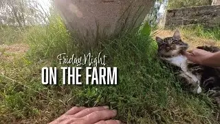 Friday Night On the Farm | Insta360 GO 3 Footage