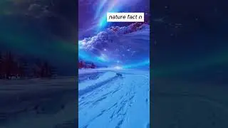 🌈trending nature shorts reels 😍unique most beautiful nature video 2025 #shortsvideo #trendingshorts