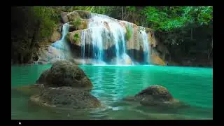 Yoga videos, anti-inflammatory healthy diet recipes. 
