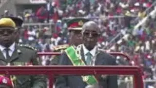 Archive of celebrations after Mugabe resignation