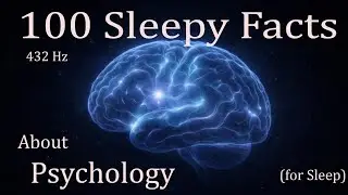 The Most Relaxing facts about the psychology to Fall A sleep - no Adverts 