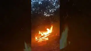 Moscow region. bonfire. Russian nature.