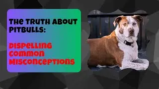 The Truth About Pitbulls: Dispelling Common Misconceptions