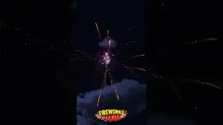 Funke Funkenweide Violett - Fireworks Mania