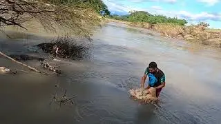 Así de buena a quedado la pesca en el río lempa