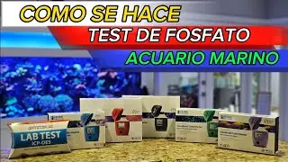 TEST PARA ACUARIO MARINO/COMO SE HACEN/LOS MEJORES TEST.