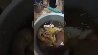 presto iso