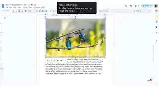 How to Resize and Wrap Images in Google Docs - Driveway Guide