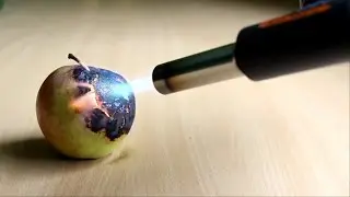 EXPERIMENT - APPLE VS GAS TORCH