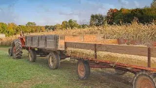 Olmsted Parks hosting 'Hayride on the Hill' in Louisville
