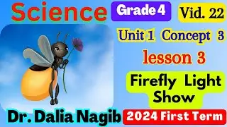 ساينس رابعه ابتدائي ترم اول المنهج الجديد  Science  Grade 4 Firefly Light Show  Concept 3 Lesson 3