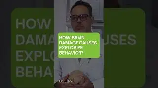 How Brain Damage Causes Explosive Behavior?