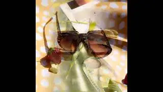 Eyedentity Opticians - Optical Store in Indirapuram (Ghaziabad)