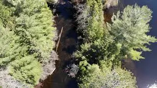 Highlands East Ontario Canada Drone Footage - 20190428