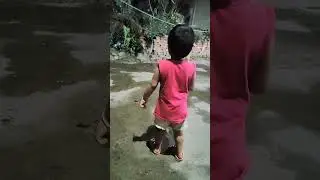 she is chasing the frog with a stick#frog #todayviralvideo #whatsappstatus