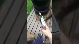 22 staple gun zip gun  #zipgun #gun #experiment #22 #fyp #diy