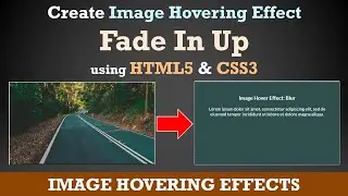 Create Image Hover Effects using HTML and CSS | Fade In Up Effect | Effect 2 | tanzTalks.tech