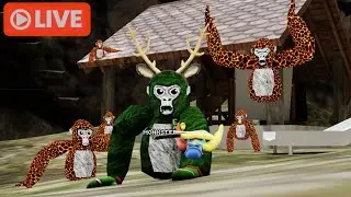 Playing With Fans | Gorilla Tag Live
