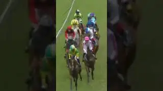 #02:05 GERYVILLE {1M Stake} 2025/12/26 wow favorite hard won no(3) (LADYOFDISTINCTION) odd 2to1🤑💰🤑💰💰