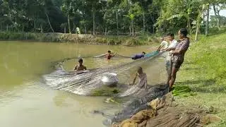 গ্রামের পুকুরে জেলেদের মাছ ধরা দেখুন।Gramer pukure jeleder fish dhora..2019