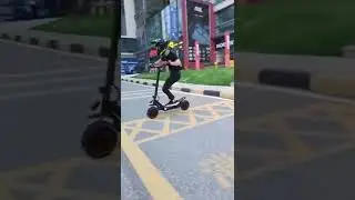 The Terrain electric scooter AERIUM Ecorider 3600 W Dual black