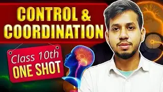 CONTROL AND COORDINATION || BIOLOGY || RAPID REVISION || ONE SHOT