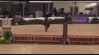 Annings Royal Imagination