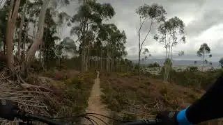 Trilho da Santa Justa, Valongo | YT Decoy Shred