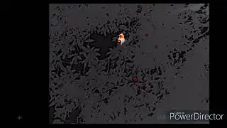 Male great roundleaf bat (Hipposideros armiger) compete lek perch site &mdash; thermal video
