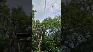 I Visited the World&rsquo;s Best Zoo, Singapore
