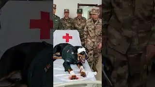 Wounded military dog in hospital receives salutes from fellow soldiers