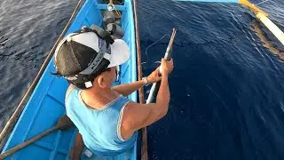 Needle Fish Hunting | Bait Fishing 🎣 #needlefish #fishing #baitfishing #boatfishing 