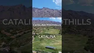 Catalina Foothills EXPOSED The Most Popular Neighborhood in Tucson
