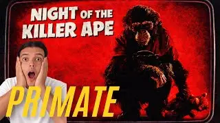 MOVIE Review! The DUMBEST Horror Movie That Actually WORKS!