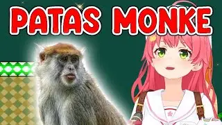 Miko tells a fact about Patas Monkey