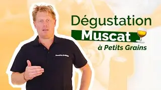 Quel VIN BLANC avec mes SUSHIS ? | Le MUSCAT &agrave; Petits Grains Blanc