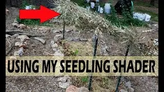 USING MY DIY SEEDLING SHADER TO PROTECT MY TRANSPLANTS