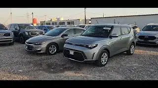 وارد امريكي. معرض جعفر للوارد الامريكي في البصرة 07712696444