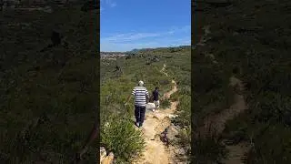 Butterbox Lookout | Blue Mountains, NSW | Trekking